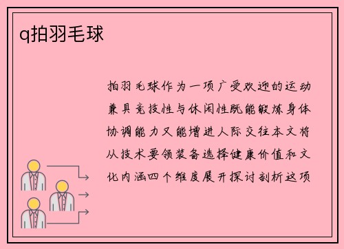 q拍羽毛球