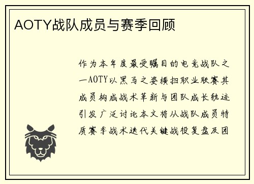AOTY战队成员与赛季回顾