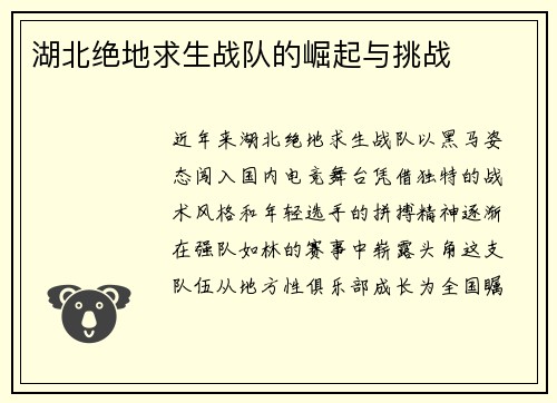 湖北绝地求生战队的崛起与挑战